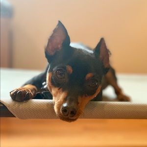 Meet your Posher, Nicole